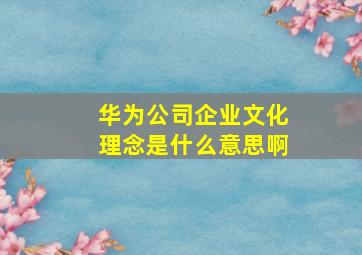 华为公司企业文化理念是什么意思啊