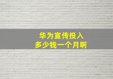 华为宣传投入多少钱一个月啊