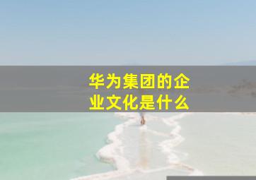 华为集团的企业文化是什么