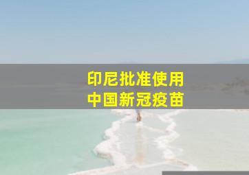 印尼批准使用中国新冠疫苗