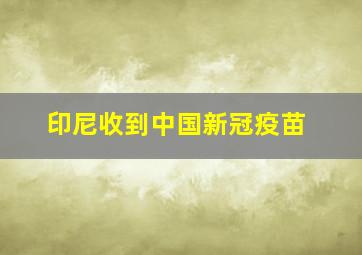 印尼收到中国新冠疫苗