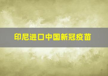 印尼进口中国新冠疫苗