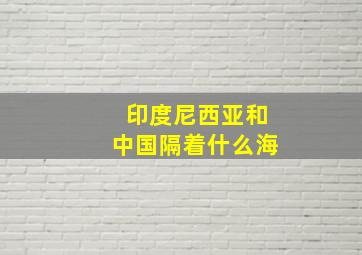 印度尼西亚和中国隔着什么海