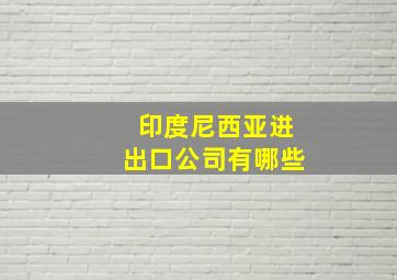 印度尼西亚进出口公司有哪些