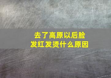 去了高原以后脸发红发烫什么原因