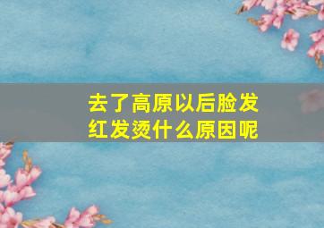 去了高原以后脸发红发烫什么原因呢