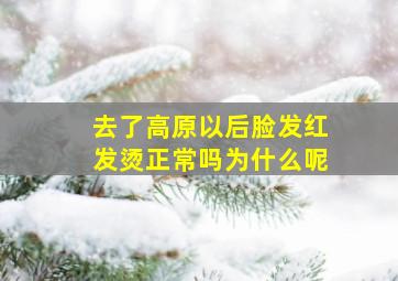 去了高原以后脸发红发烫正常吗为什么呢