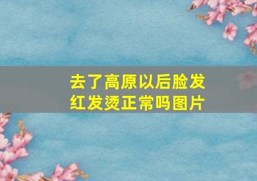 去了高原以后脸发红发烫正常吗图片