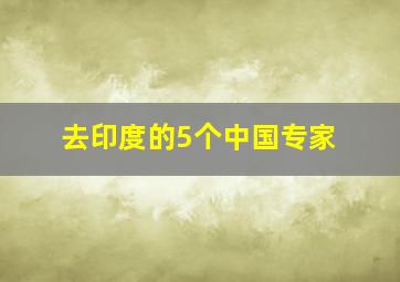 去印度的5个中国专家