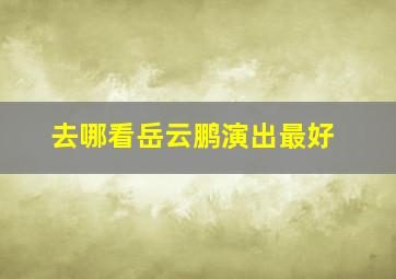 去哪看岳云鹏演出最好