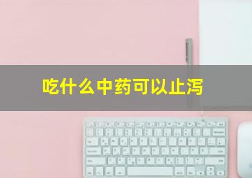 吃什么中药可以止泻