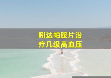 吲达帕胺片治疗几级高血压