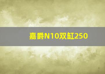 嘉爵N10双缸250