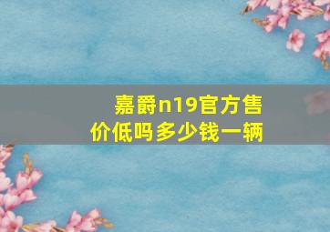 嘉爵n19官方售价低吗多少钱一辆