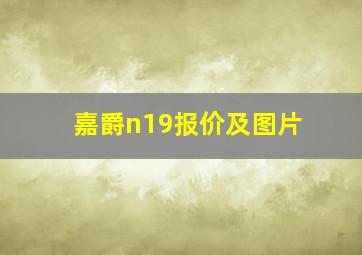 嘉爵n19报价及图片