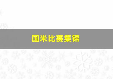 国米比赛集锦