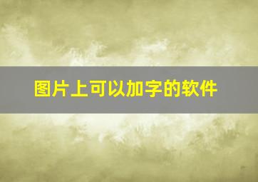 图片上可以加字的软件