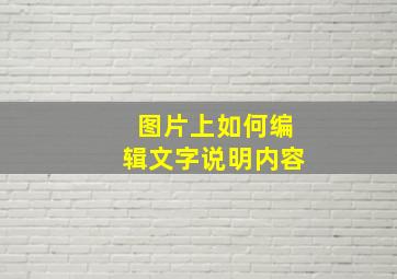 图片上如何编辑文字说明内容