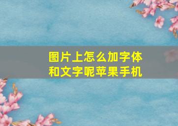 图片上怎么加字体和文字呢苹果手机