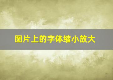 图片上的字体缩小放大