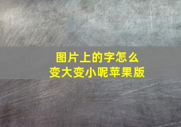 图片上的字怎么变大变小呢苹果版