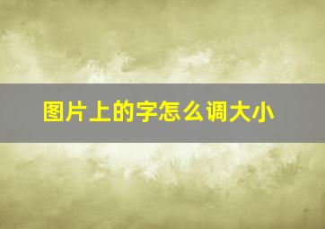 图片上的字怎么调大小