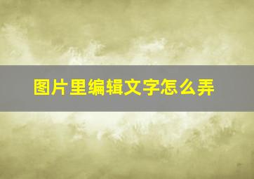 图片里编辑文字怎么弄