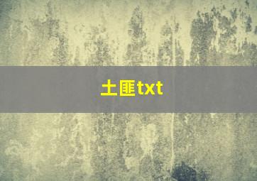 土匪txt