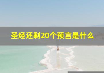 圣经还剩20个预言是什么