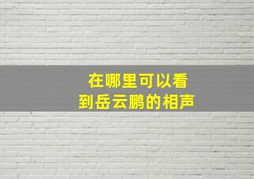 在哪里可以看到岳云鹏的相声