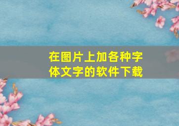 在图片上加各种字体文字的软件下载