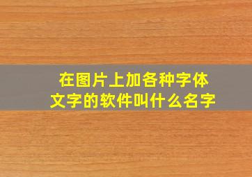 在图片上加各种字体文字的软件叫什么名字