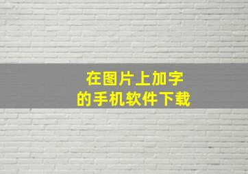 在图片上加字的手机软件下载