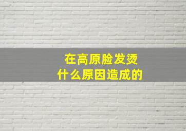 在高原脸发烫什么原因造成的