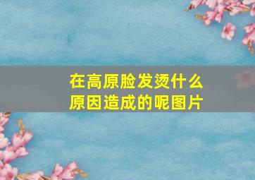 在高原脸发烫什么原因造成的呢图片