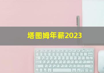 塔图姆年薪2023