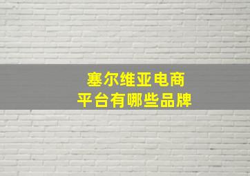 塞尔维亚电商平台有哪些品牌