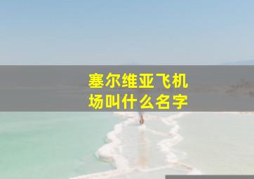 塞尔维亚飞机场叫什么名字