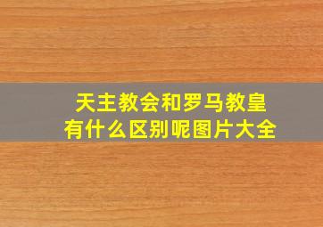 天主教会和罗马教皇有什么区别呢图片大全