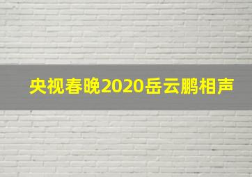 央视春晚2020岳云鹏相声