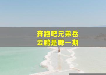 奔跑吧兄弟岳云鹏是哪一期