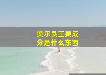 奥尔良主要成分是什么东西