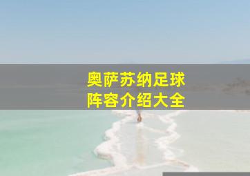 奥萨苏纳足球阵容介绍大全