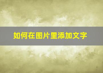 如何在图片里添加文字