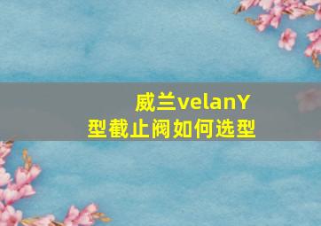 威兰velanY型截止阀如何选型