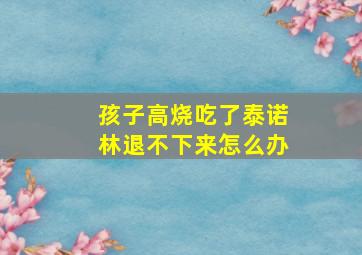 孩子高烧吃了泰诺林退不下来怎么办