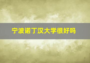 宁波诺丁汉大学很好吗