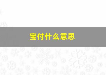 宝付什么意思