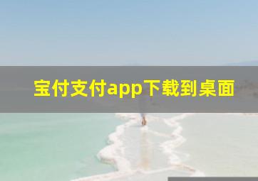 宝付支付app下载到桌面