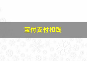 宝付支付扣钱